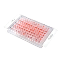 Пленка HotSeal, 100 шт