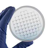 Наклейки для чашек Петри PetriStickers, сетка, 50 квадратов, 36 шт