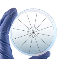 Наклейки для чашек Петри PetriStickers, сектора, 6 секторов, 36 шт