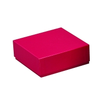 Бокс для хранения криогенных виал, h 50 мм, красный цвет, картон, 1 шт