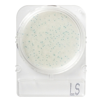 Подложки Compact Dry LS (листерия), 20 шт.