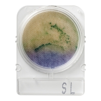 Подложки Compact Dry SL (Сальмонелла), 40 шт.