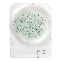 Подложки Compact Dry CF (колиформы), 20 шт.