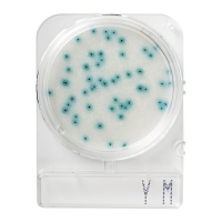 Подложки Compact Dry YM (дрожжи и плесени), 20 шт.