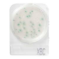 Подложки Compact Dry XBC (бациллы эхиноцереус), 20 шт.