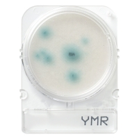 Подложки Compact Dry YM RAPID (плесени и дрожжи), 4 шт.