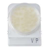 Подложки Compact Dry VP (вибрио парагемолитикус), 20 шт.