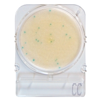 Подложки Compact Dry CC (определение ОМЧ в чае и других продуктах, содержащих катехины), 20 шт.