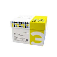 Энрофлоксацин, тест-система Эврика A0601-48 для количественного определения методом ИФА, 48 определений