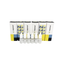 Активность воды (6), набор калибровочных стандартов Эврика AW0107KIT, 6 штук по 5 мл